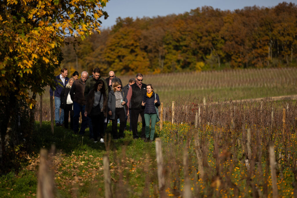 Burgundy PAQUOT WineEnthusiastTravelBurgundy