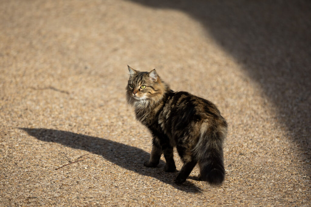 Burgundy PAQUOT WineEnthusiastTravelBurgundy