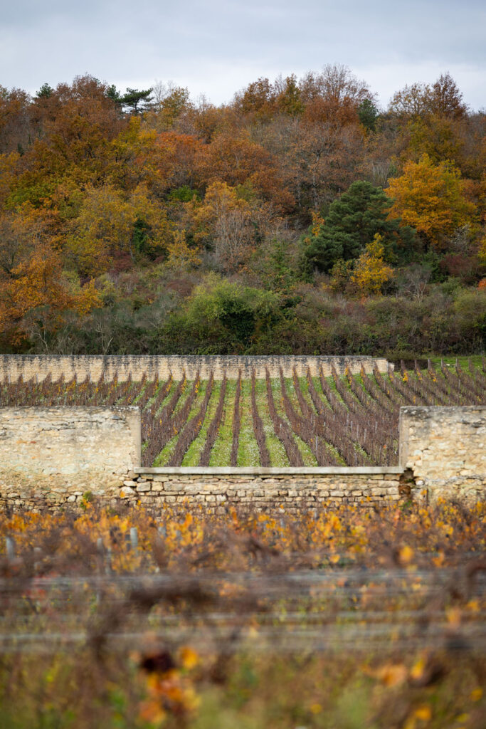 Burgundy PAQUOT WineEnthusiastTravelBurgundy