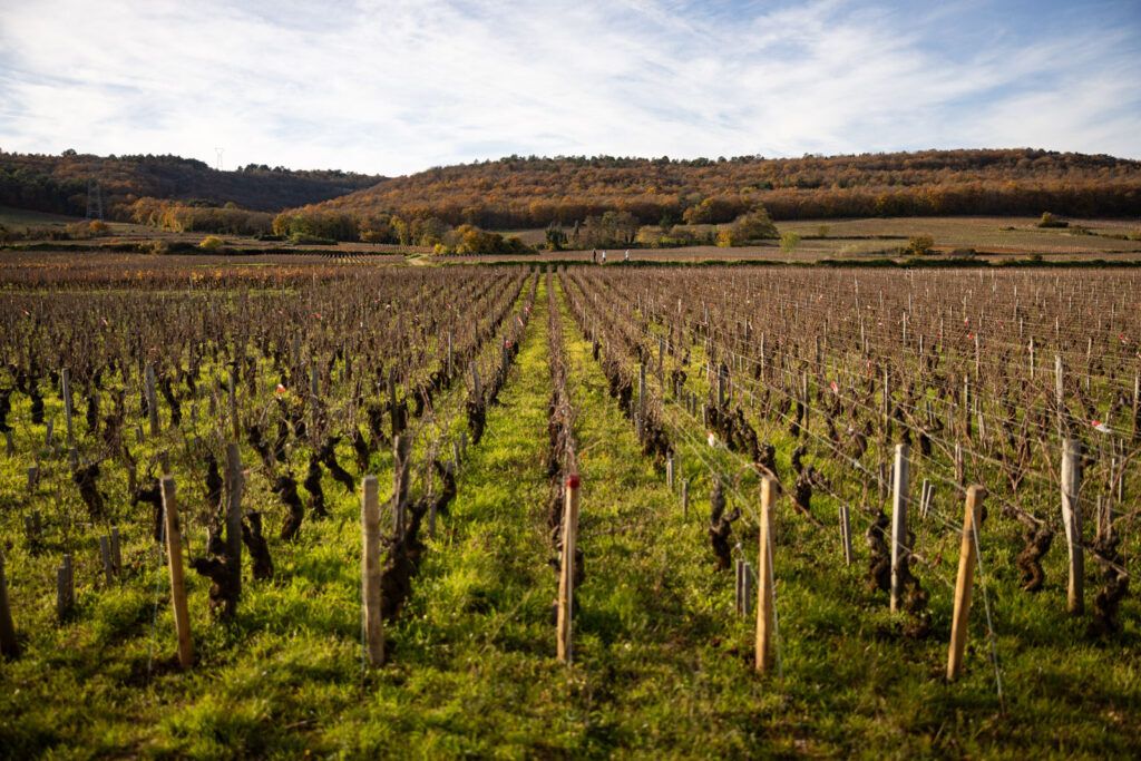 Burgundy PAQUOT WineEnthusiastTravelBurgundy