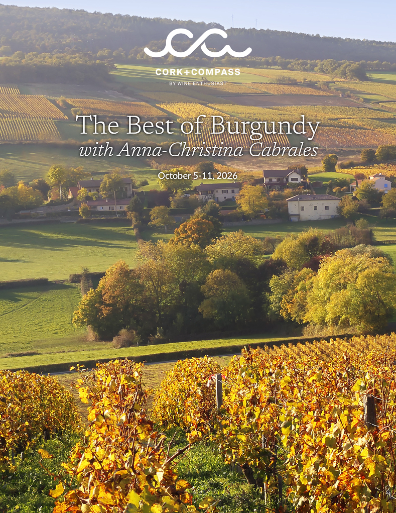Burgundy Brochure poster